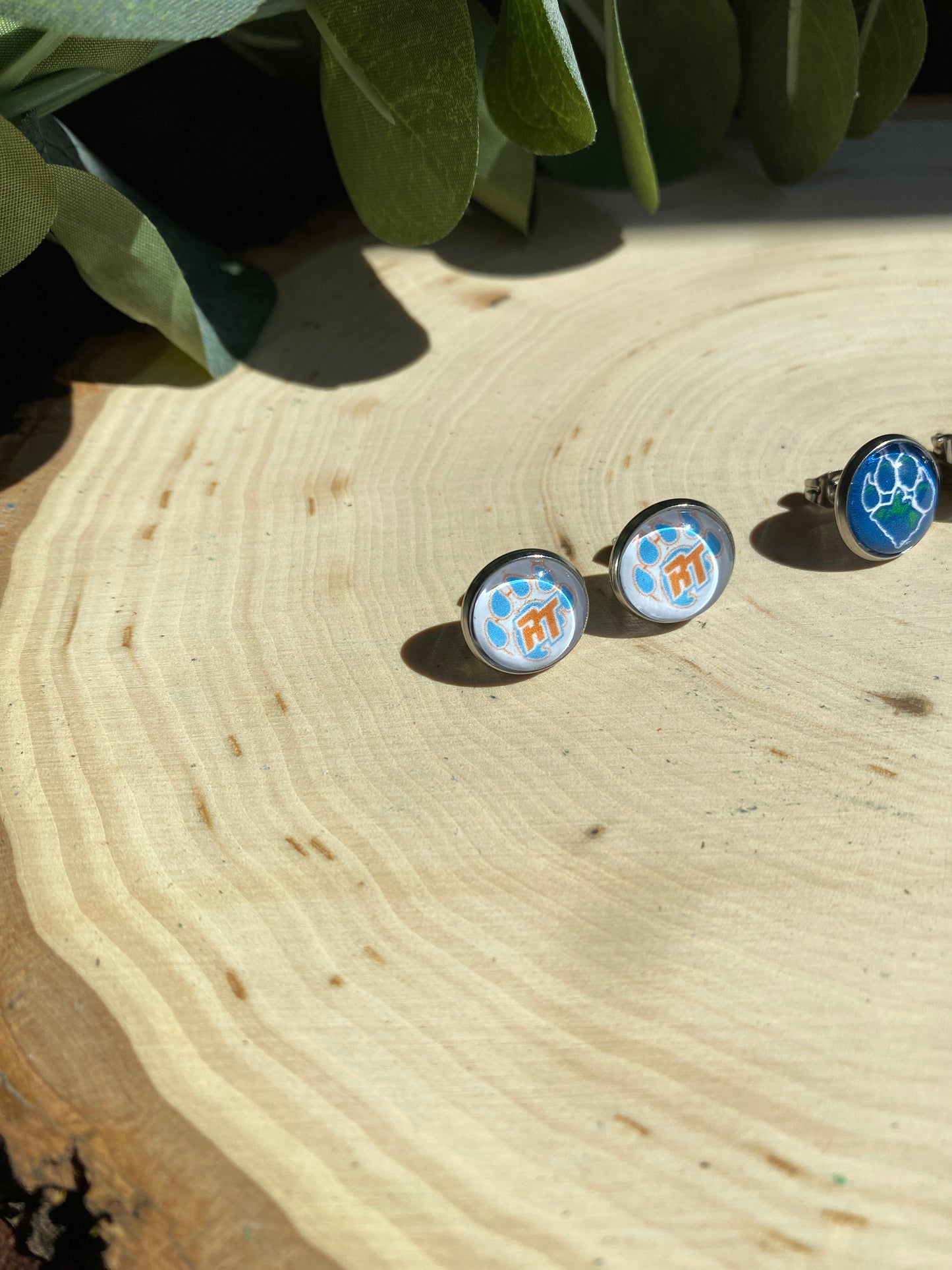 River Trail Elementary School Spirit Earrings - Studs