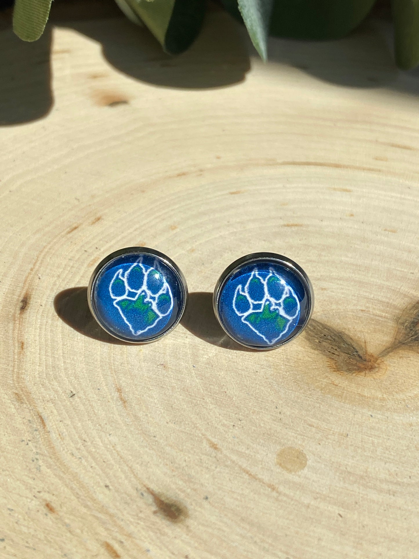 Forest Creek Middle School Spirit Earrings - Studs