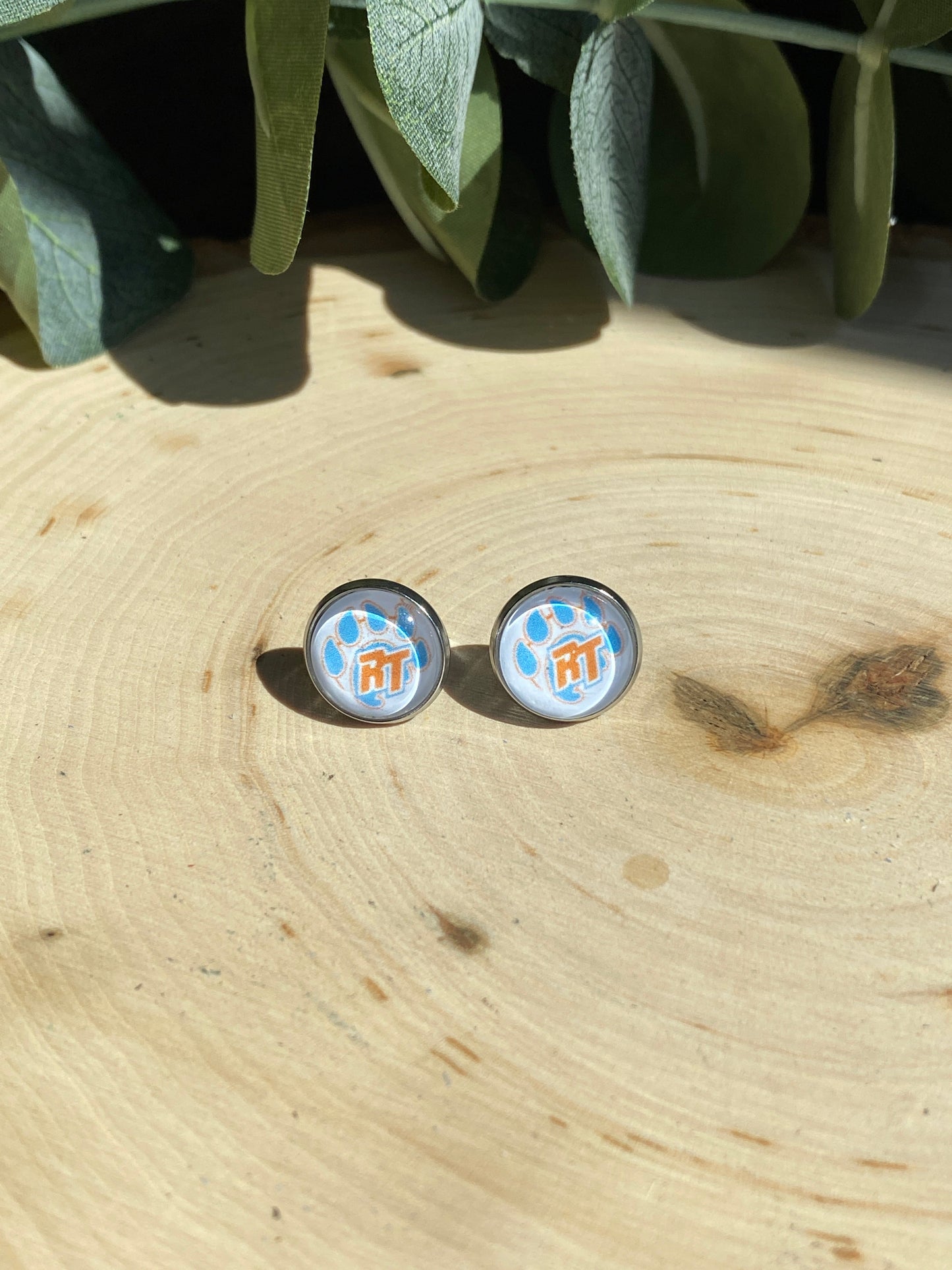 River Trail Elementary School Spirit Earrings - Studs