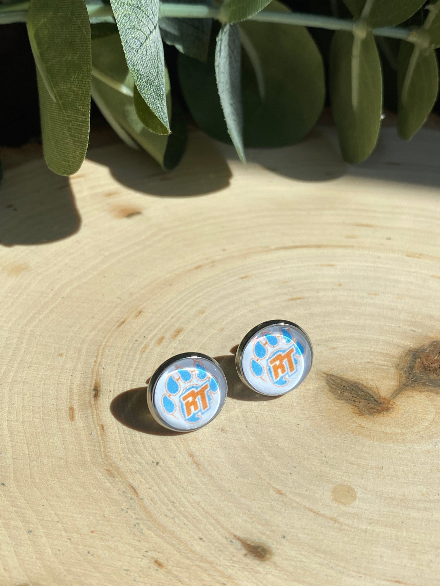 River Trail Elementary School Spirit Earrings - Studs